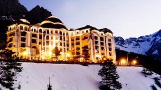 モダンハイヴ (Modern Hive)